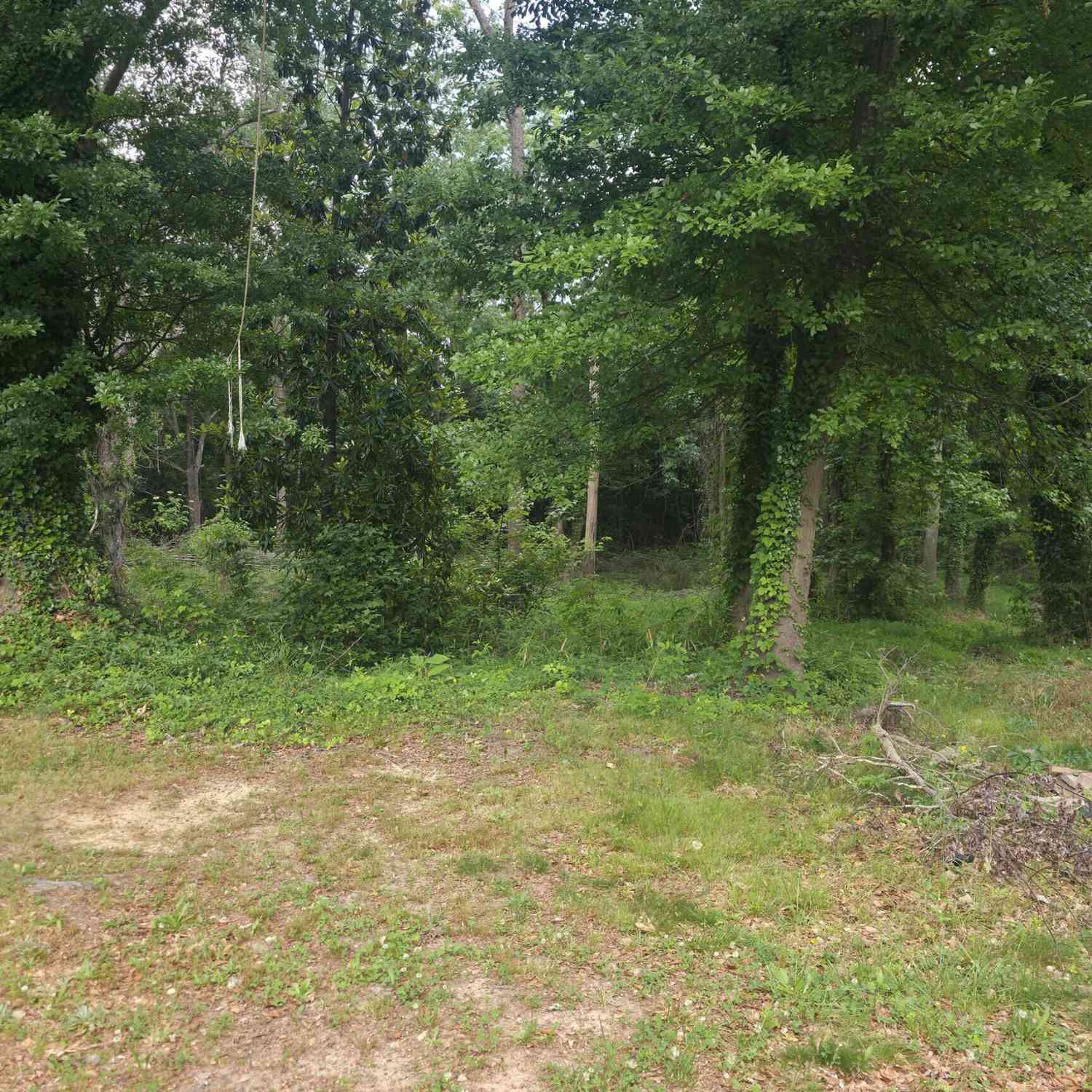 Vacant Land For Sale - Duke Street<br/> Winder, GA 30680