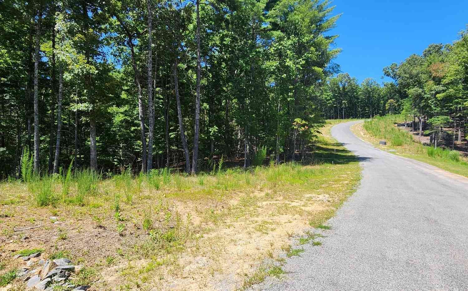 Vacant Land For Sale - 51 Ridge Drive<br/> Morganton, GA 30560