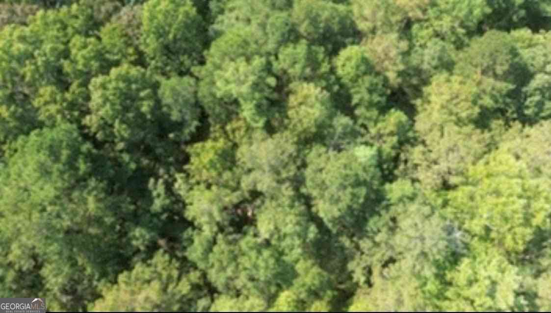 Vacant Land For Sale - Toccoa Road<br/> Carrollton, GA 30116