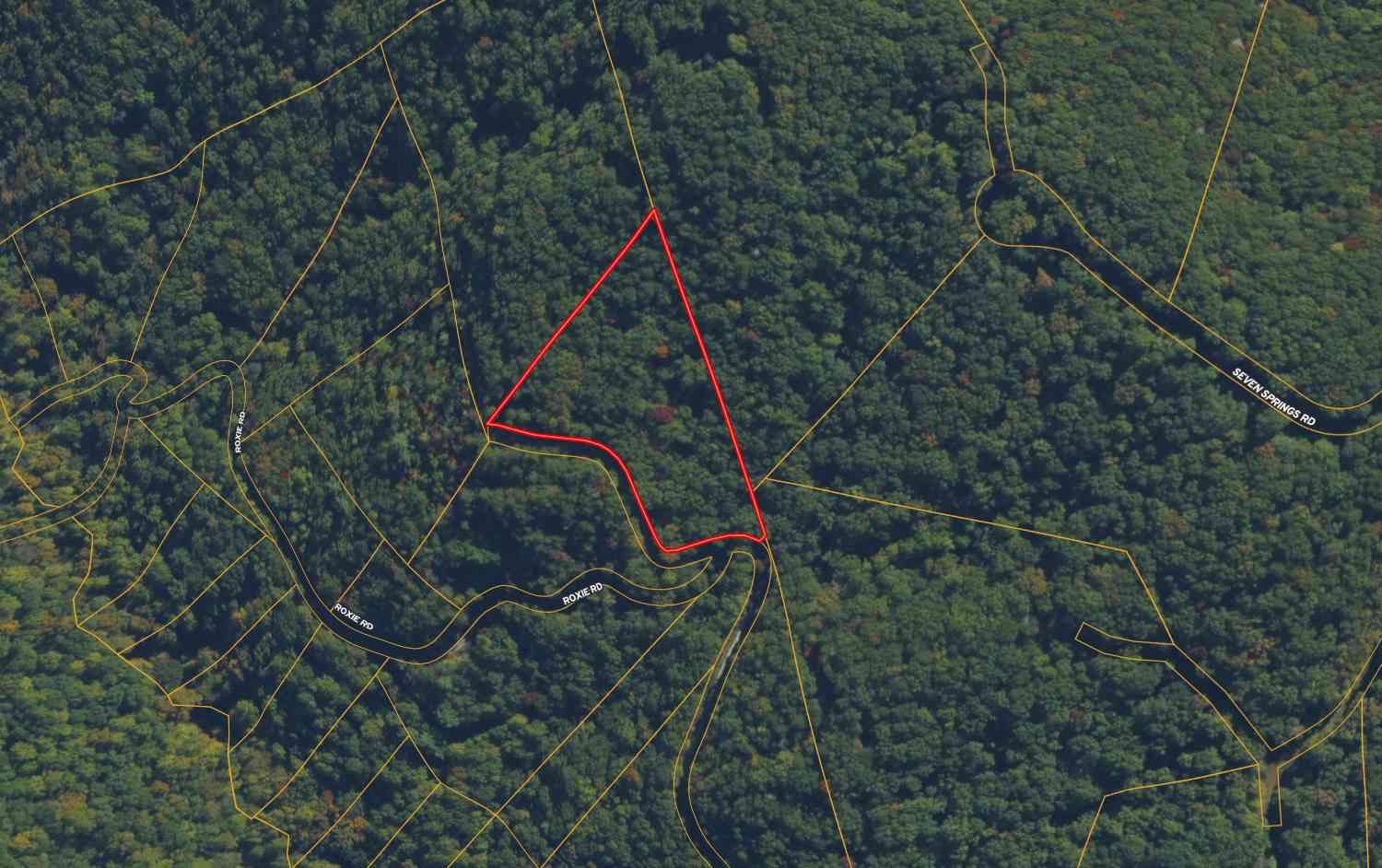 Vacant Land For Sale - Laurel Branch Drive<br/> Dawson County, Jasper, GA 30143