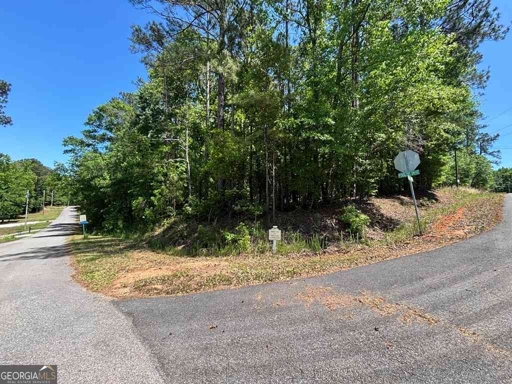 Vacant Land For Sale - LOT 663 Foxglove Drive<br/> Hancock County, Sparta, GA 31087