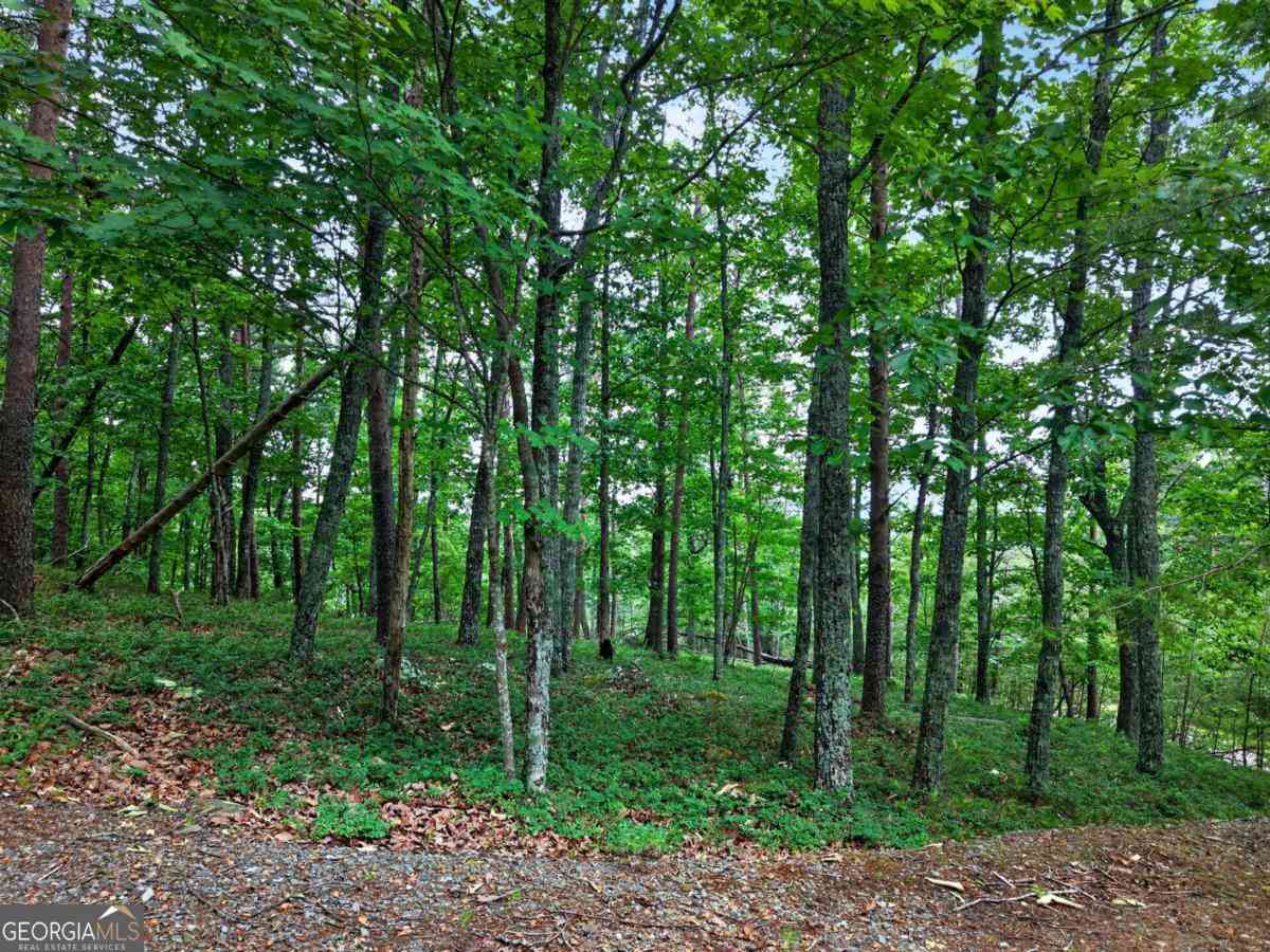 Vacant Land For Sale - Ridgeside Court<br/> Jasper, GA 30143