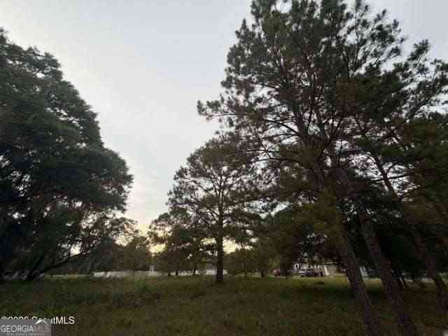 Vacant Land For Sale - 119 Sapelo Circle #LOT 38<br/> Darien, GA 31305