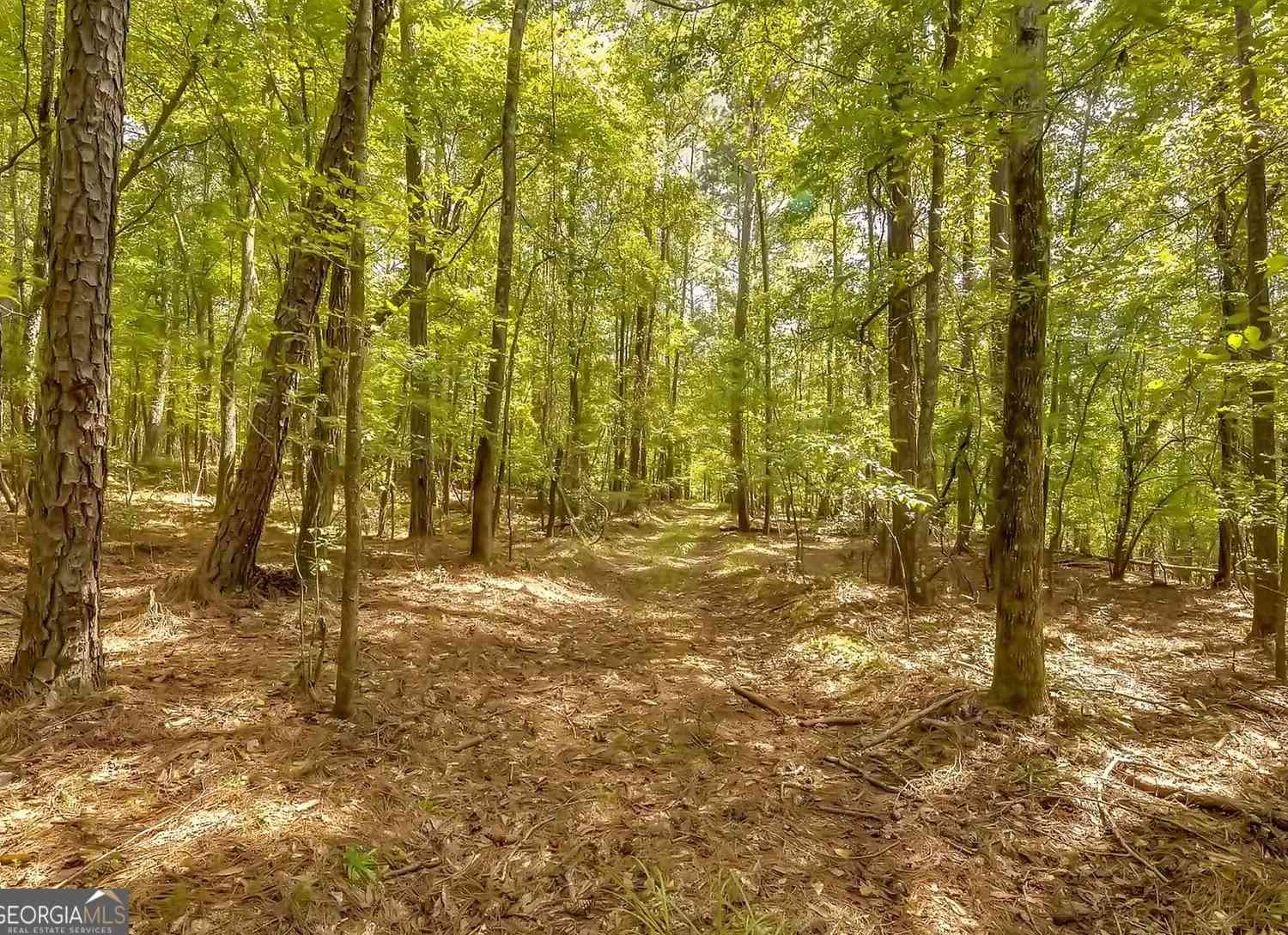 Vacant Land For Sale - 1251 Crumbley Road<br/> McDonough, GA 30252