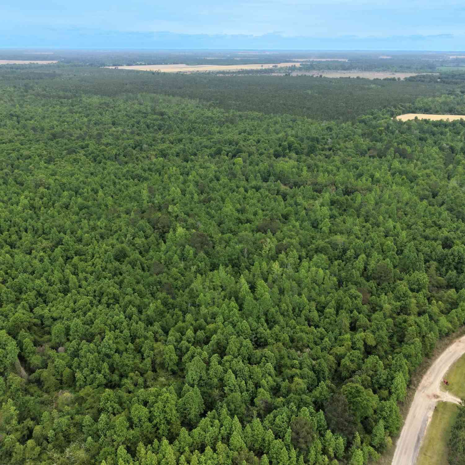 Vacant Land For Sale - 155 Mill Creek Court<br/> Worth County, Sylvester, GA 31791