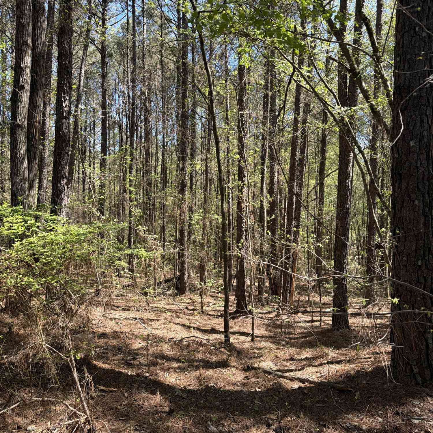 Vacant Land For Sale - Old Union Point Road<br/> Greene County, Greensboro, GA 30642