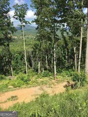 Vacant Land For Sale - Ridge Pointe Way #369<br/> Union County, Blairsville, GA 30512