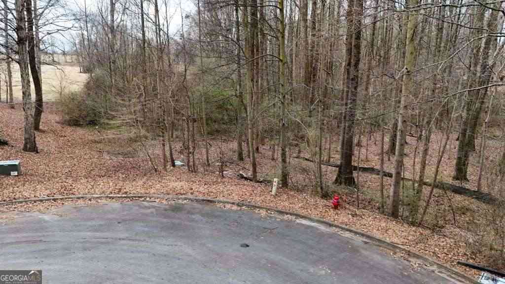 Vacant Land For Sale - 203 Adams Drive<br/> Jackson County, Commerce, GA 30530