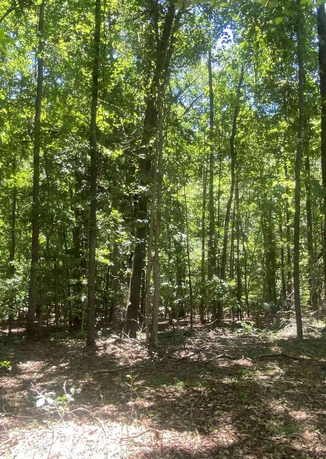 Vacant Land For Sale - 1400 Diamond Hill Church Road<br/> Maysville, GA 30558