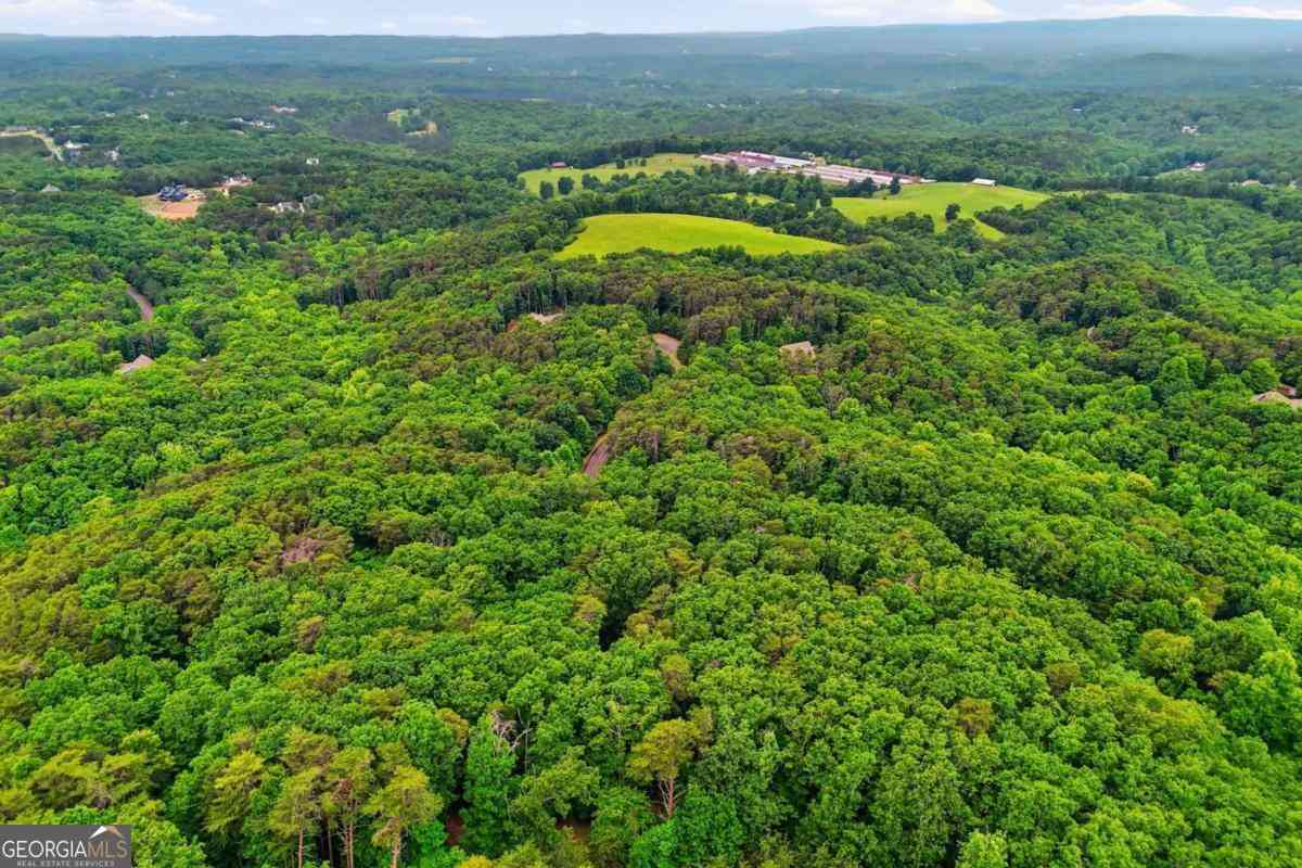 Vacant Land For Sale - Owl Ridge Way<br/> Jasper, GA 30143