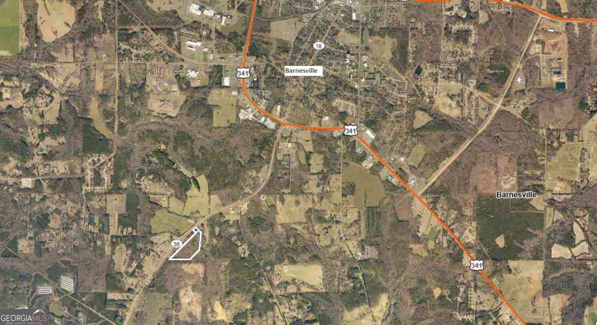 Vacant Land For Sale - Highway 36 W<br/> Barnesville, GA 30204