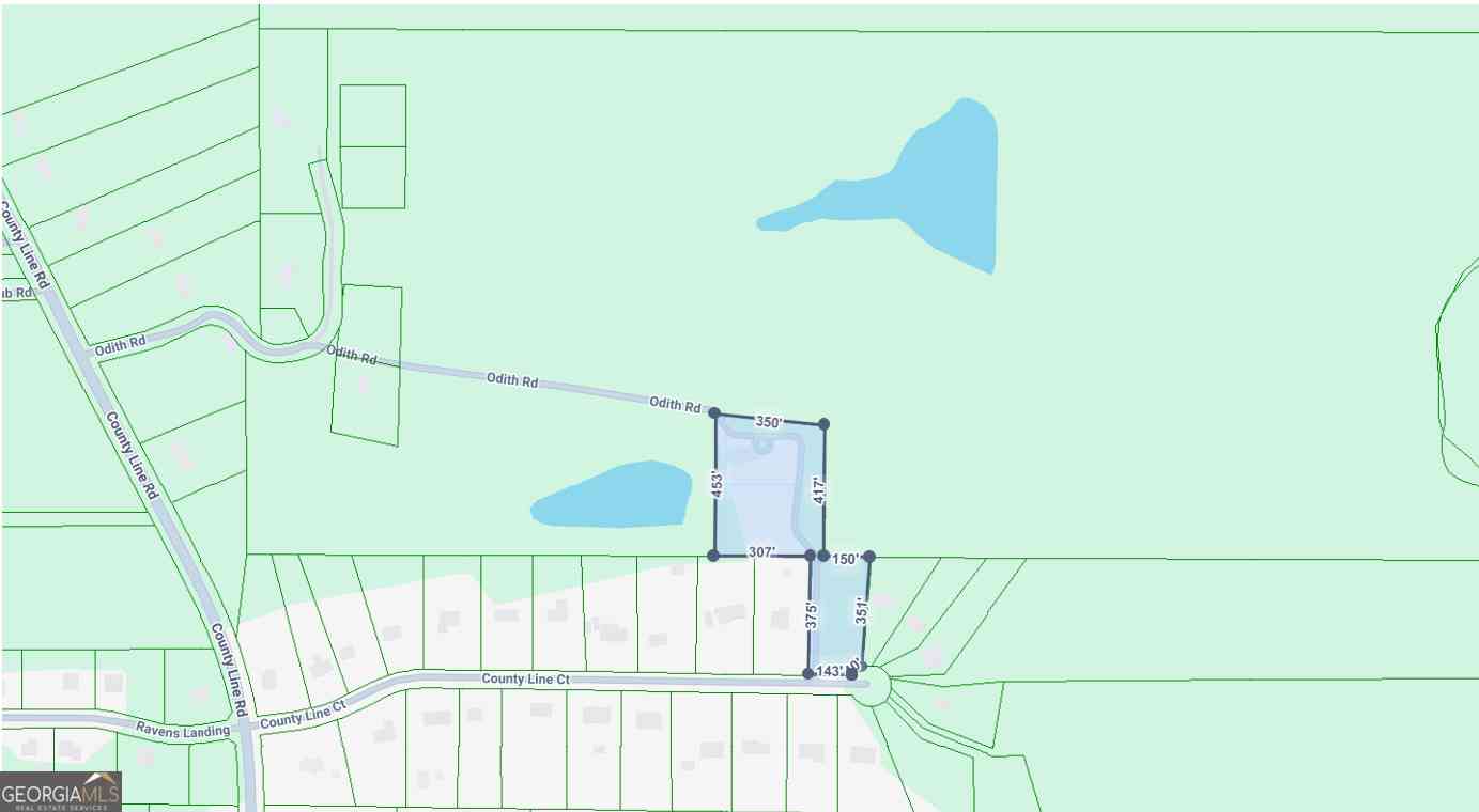 Vacant Land For Sale - 210 County Line Court<br/> Fayette County, Fayetteville, GA 30215