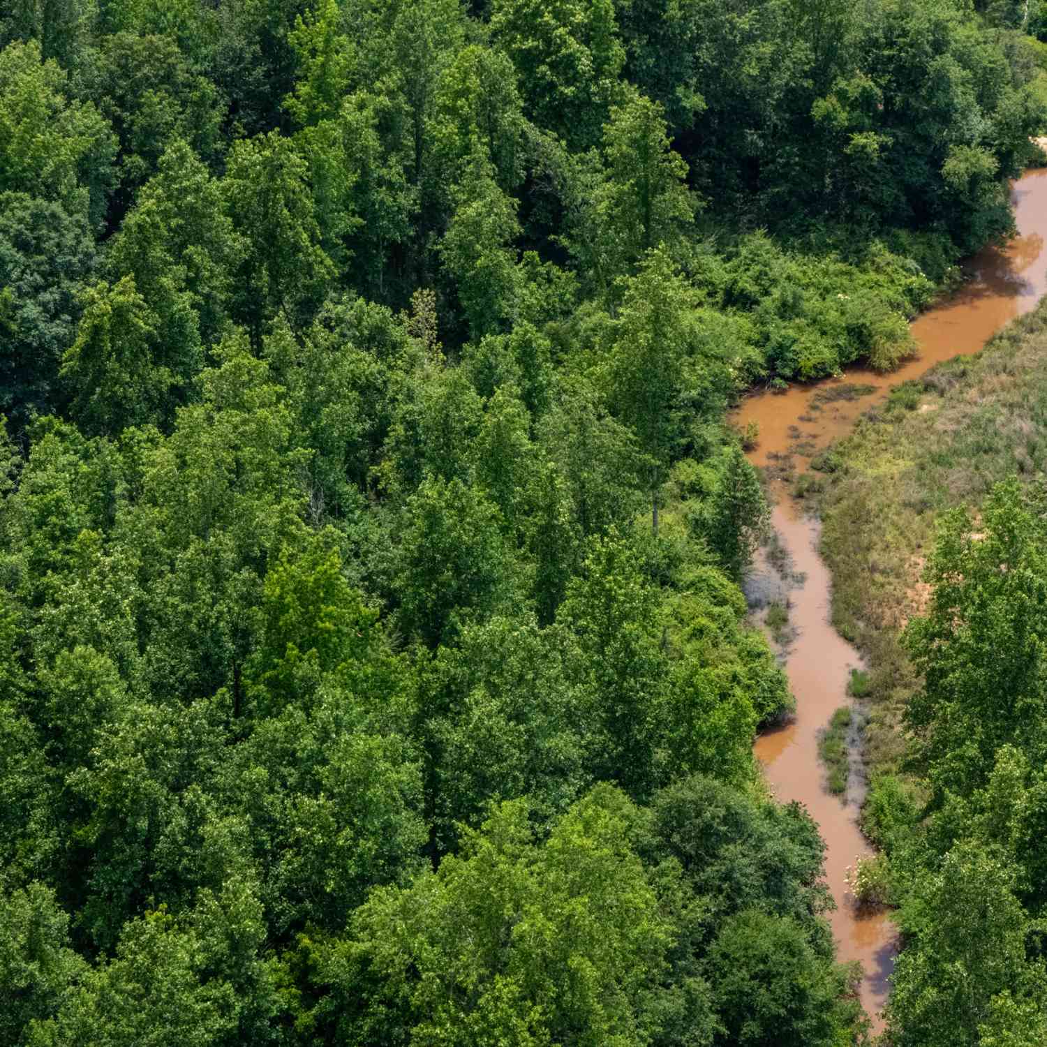 Vacant Land For Sale - Adams Road<br/> West Point, GA 31833
