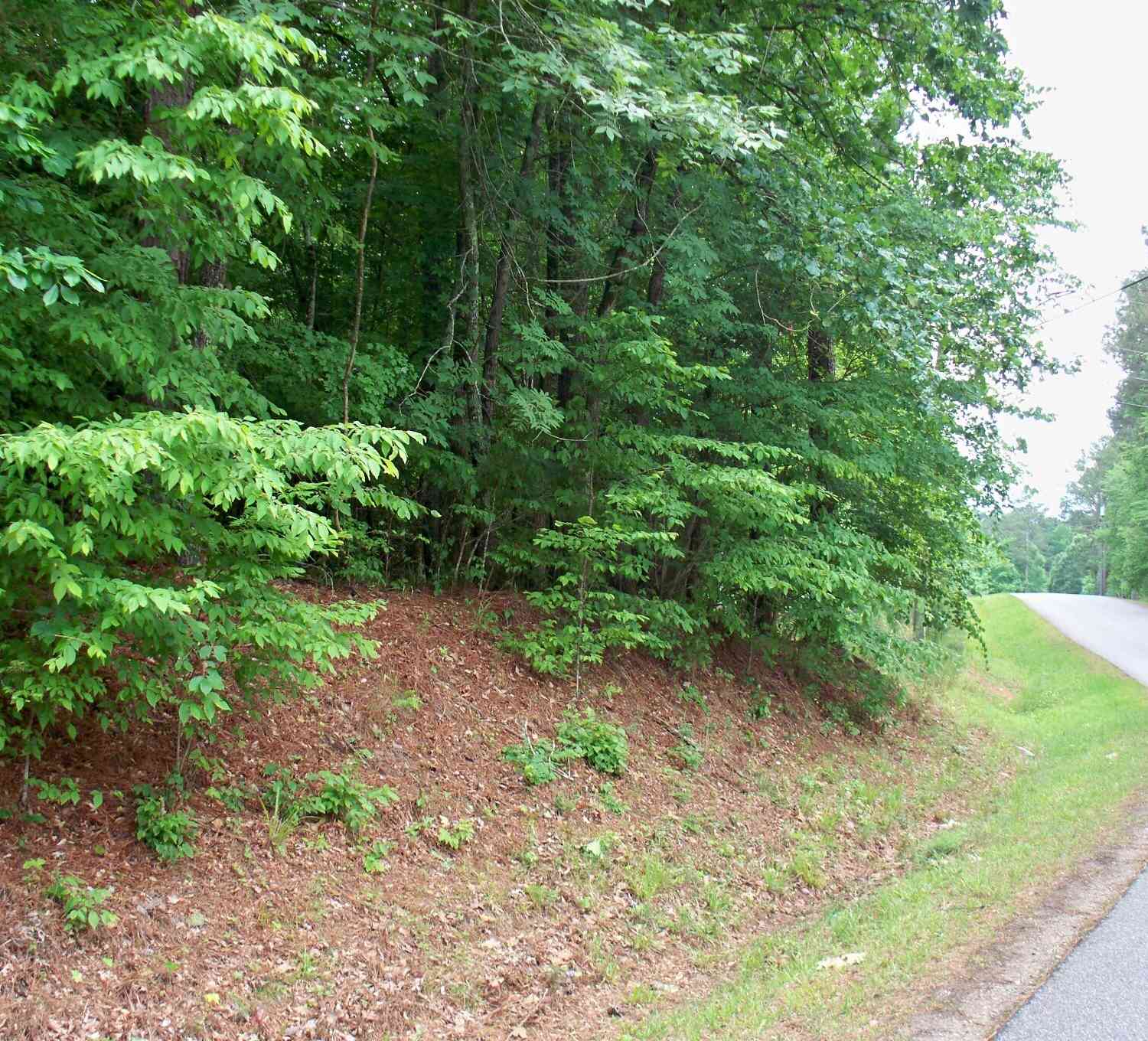 Vacant Land For Sale - 1390 Northwoods Drive<br/> Greene County, Greensboro, GA 30642