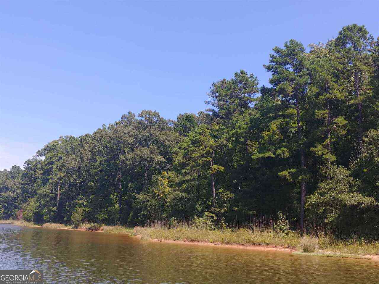 Vacant Land For Sale - LOT 24 Patriots Point<br/> Elbert County, Elberton, GA 30635