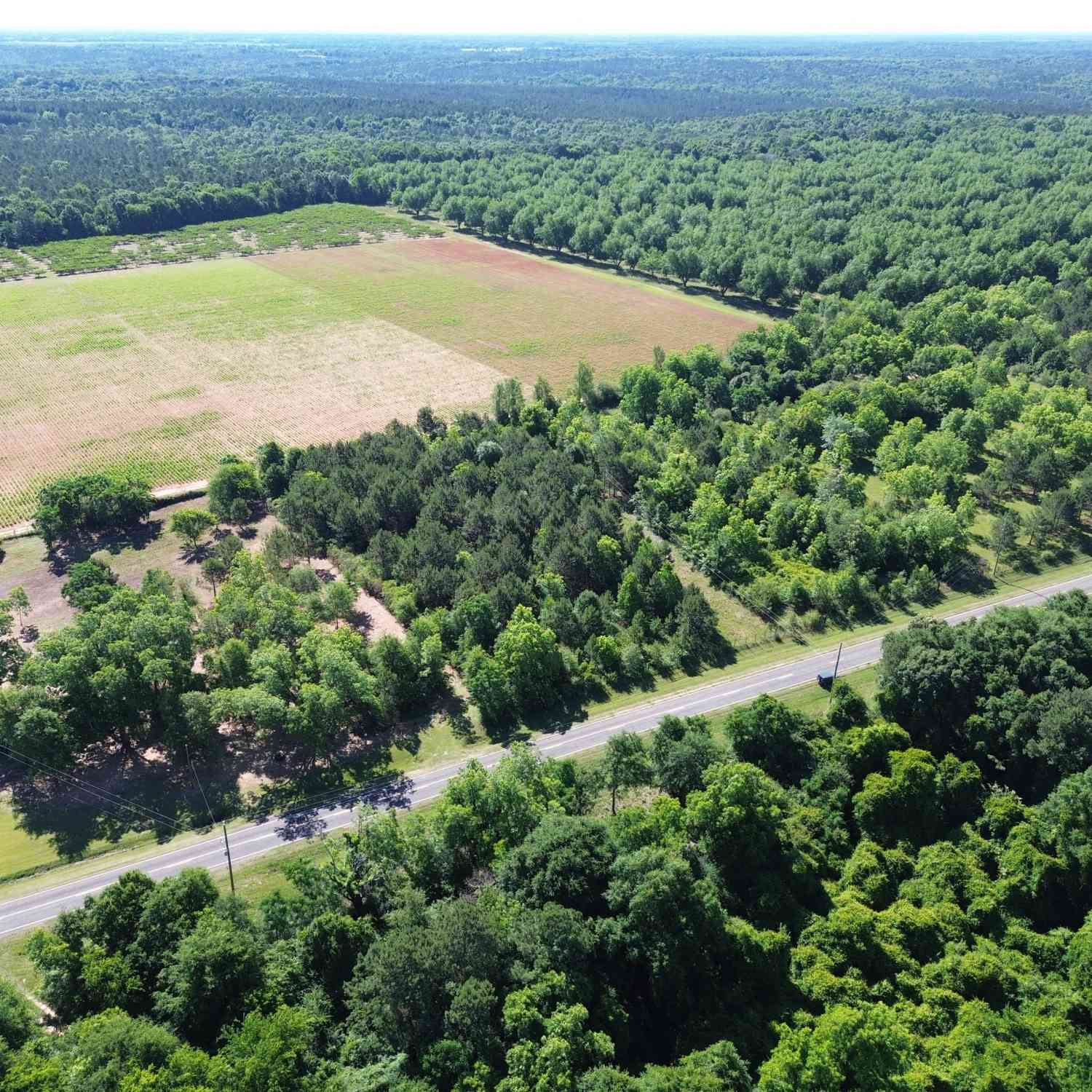 Vacant Land For Sale - 77 Cummings Lane<br/> Fort Valley, GA 31030