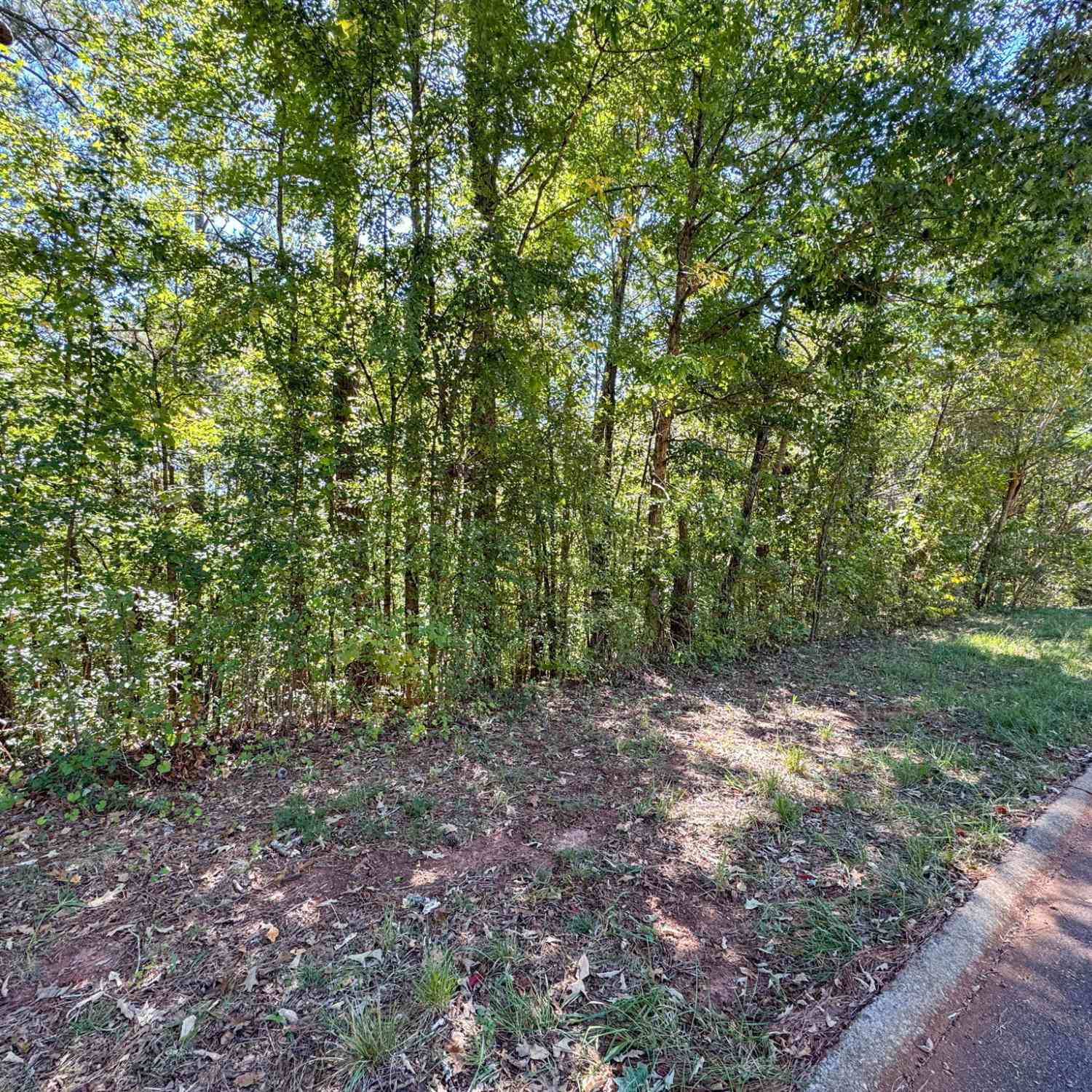 Vacant Land For Sale - (barrington Subd) 16 Approved #LOTS READY TO BUILD<br/> Covington, GA 30016