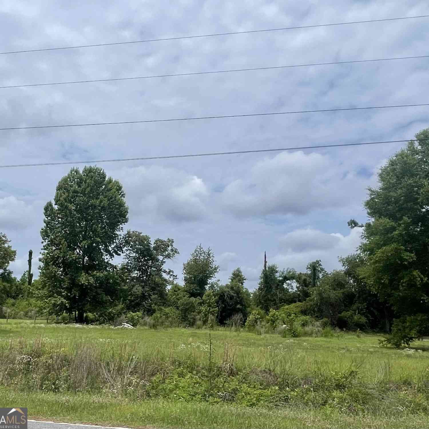 Vacant Land For Sale - 181 Timberloch Drive<br/> Vidalia, GA 30474