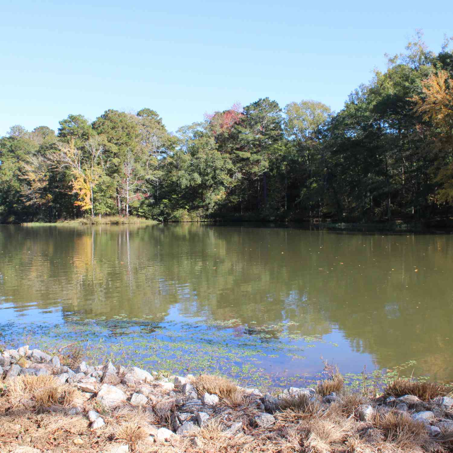Vacant Land For Sale - 1701 Blue Springs Road<br/> Buckhead, GA 30625