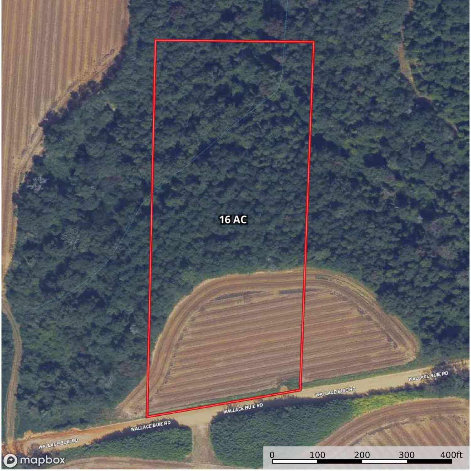 Vacant Land For Sale - 006H Wallace Buie Road<br/> Ashford, AL 36376
