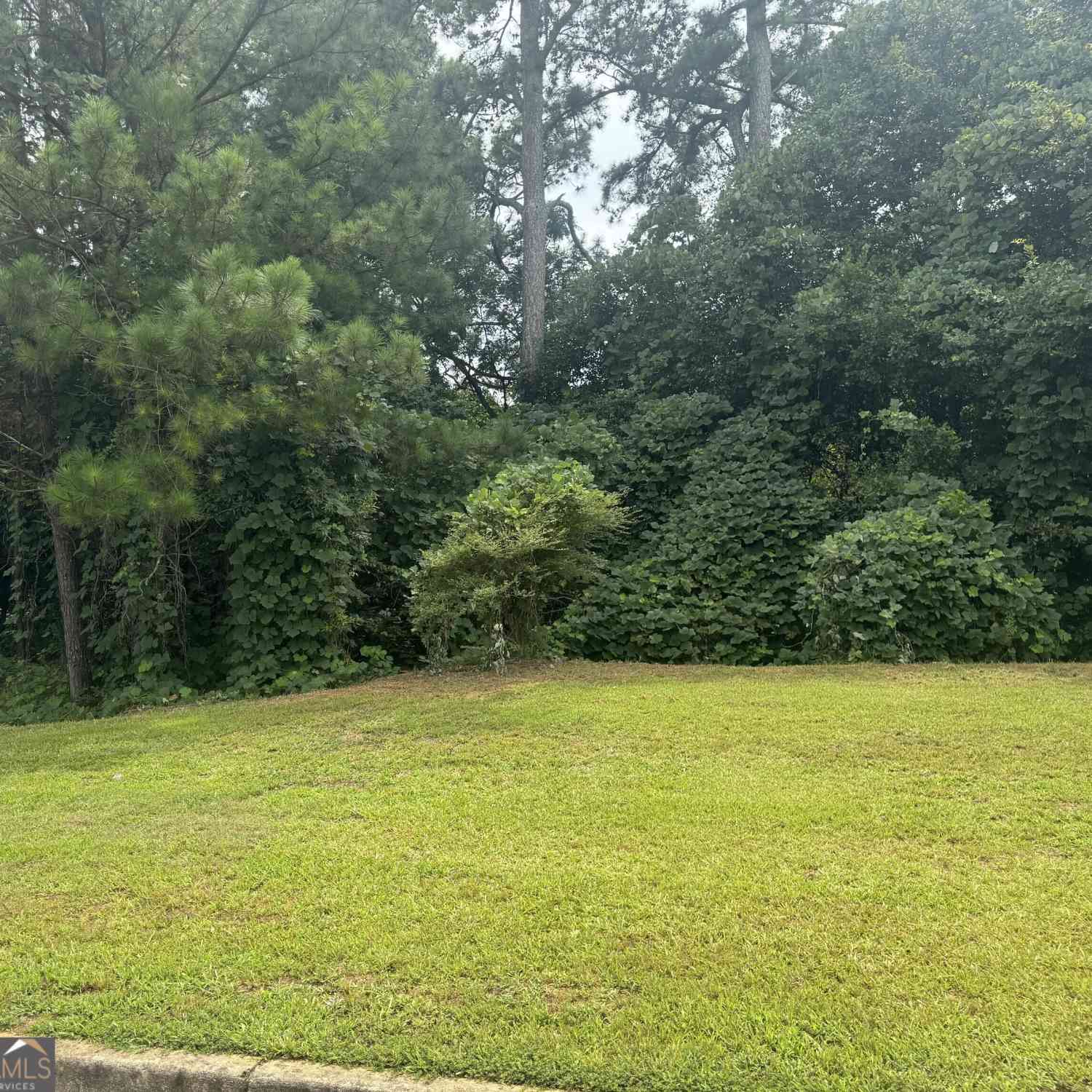 Vacant Land For Sale - 500 Mccain Creek Trail<br/> Stockbridge, GA 30281