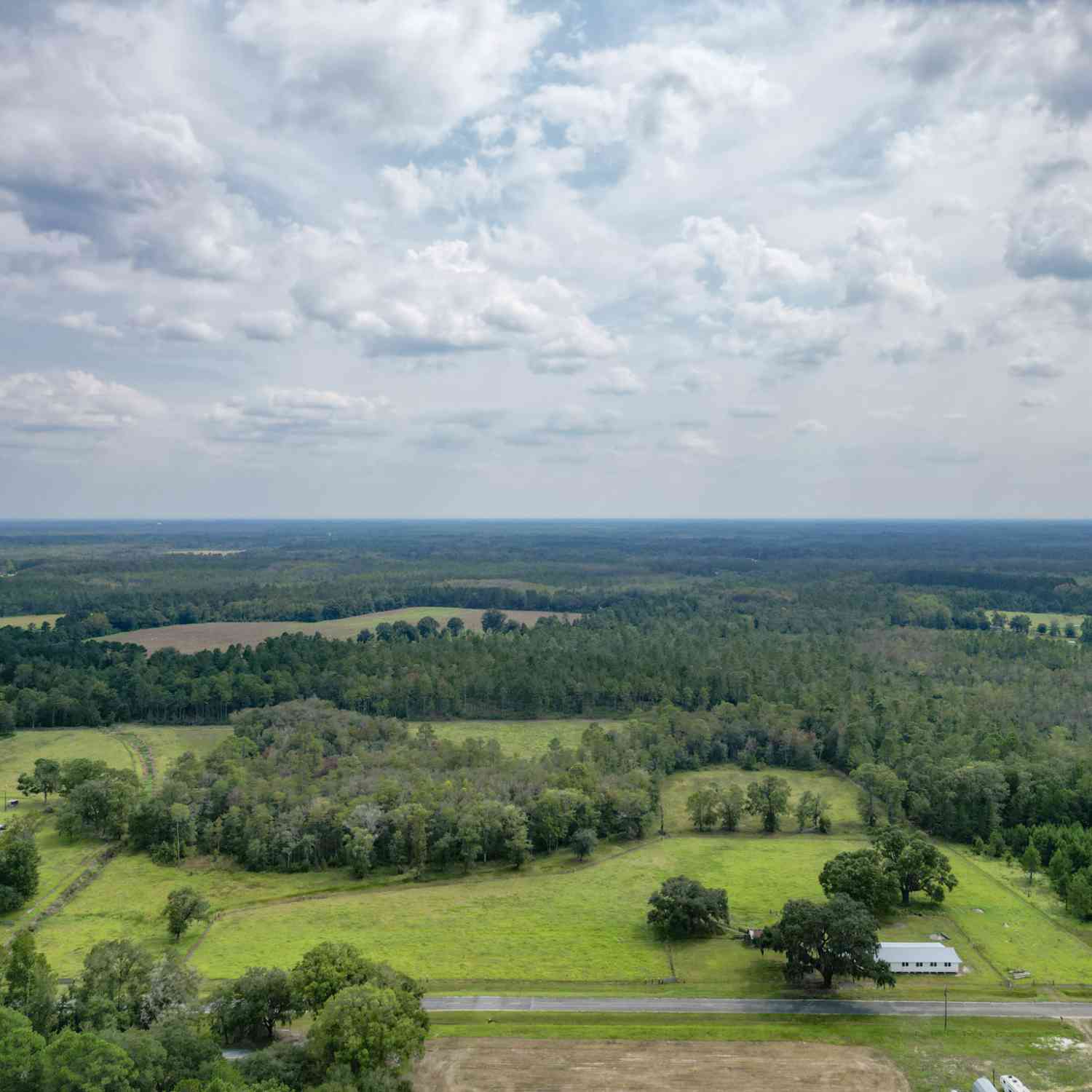 Vacant Land For Sale - 15 AC Hodges Road<br/> Liberty County, Hinesville, GA 31313