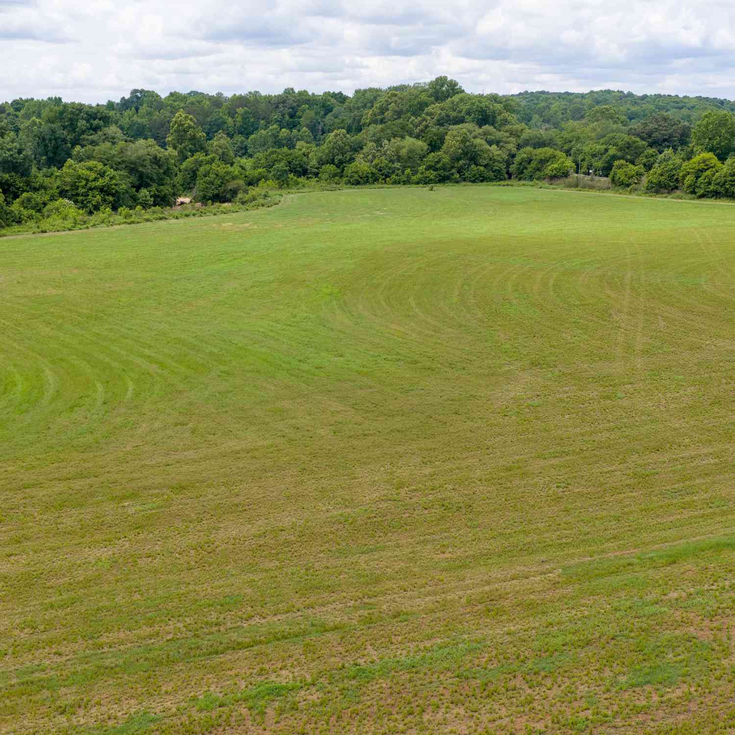 Vacant Land For Sale - Ebenezer Church Road<br/> Winder, GA 30680