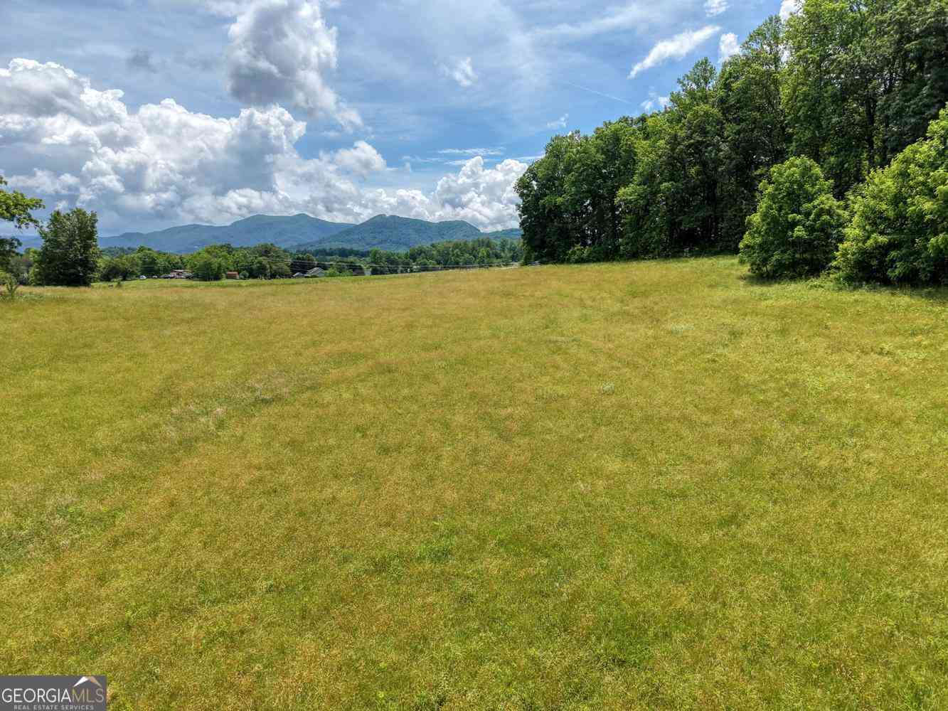 Vacant Land For Sale - 1404 Holly Point Road<br/> Hiawassee, GA 30546