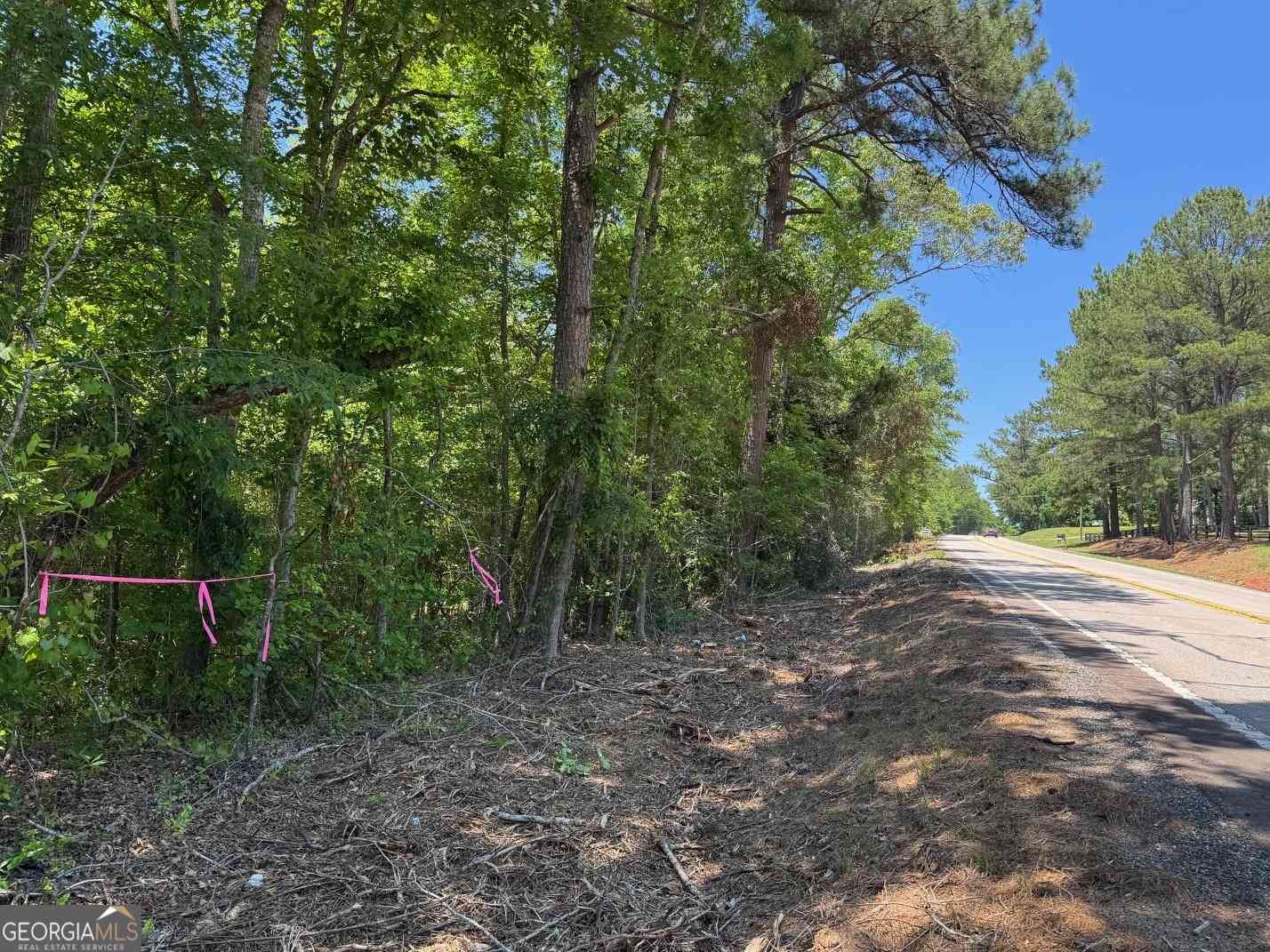 Vacant Land For Sale - Whitesville Road<br/> Troup County, Lagrange, GA 30240