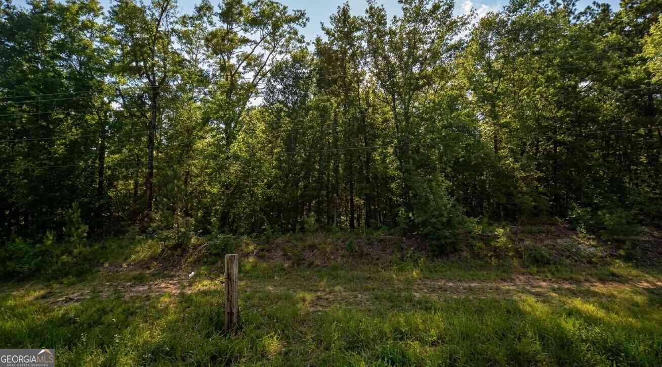 Vacant Land For Sale - Hwy 45 #TRACT A<br/> Eight Mile, AL 36613