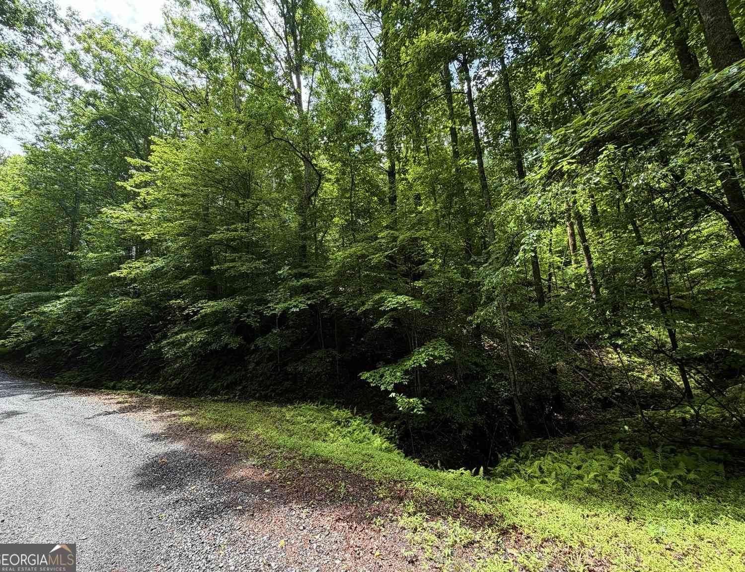 Vacant Land For Sale - LT 144 Alcan Way<br/> Gilmer County, Ellijay, GA 30540