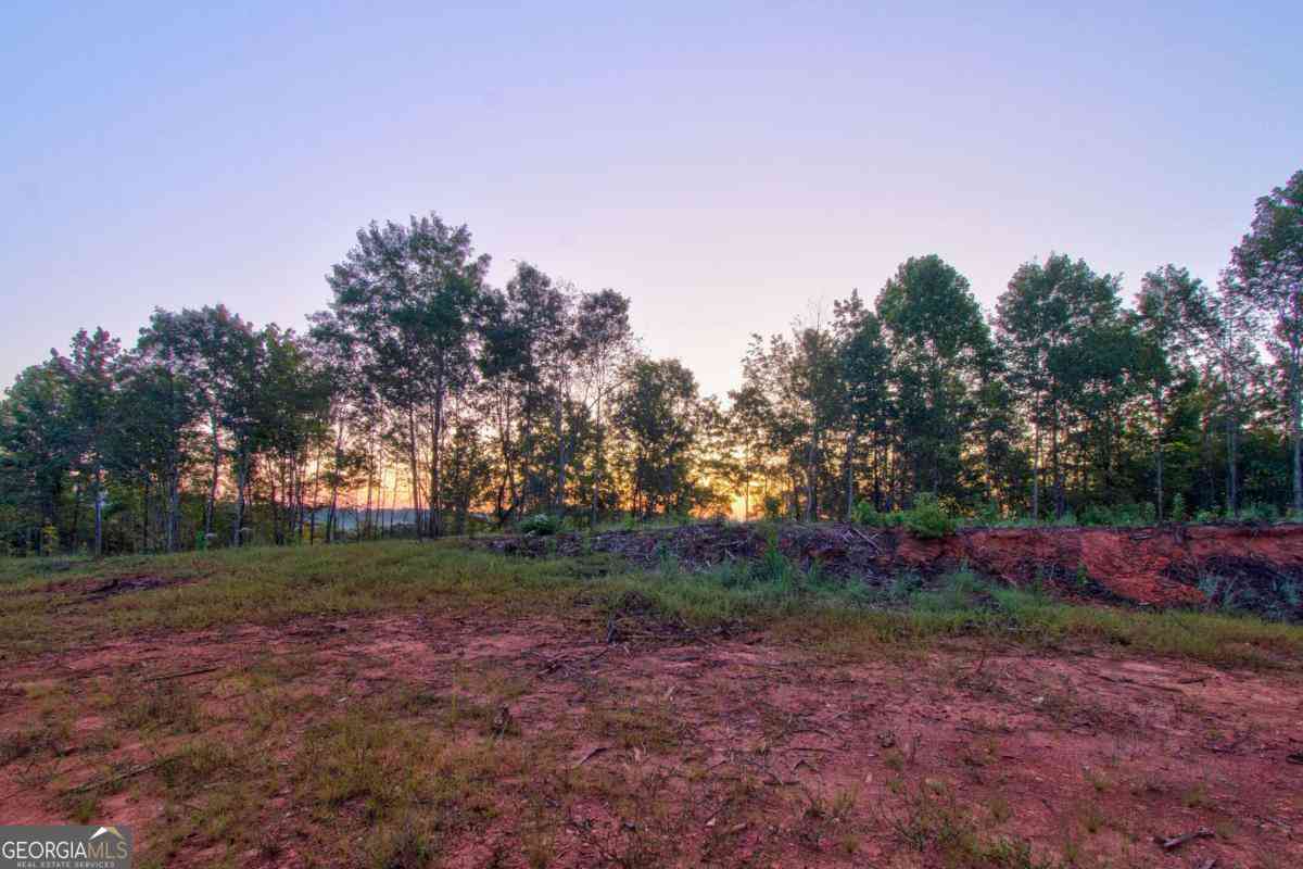 Vacant Land For Sale - 6.7 Grateful View Drive<br/> Dahlonega, GA 30533