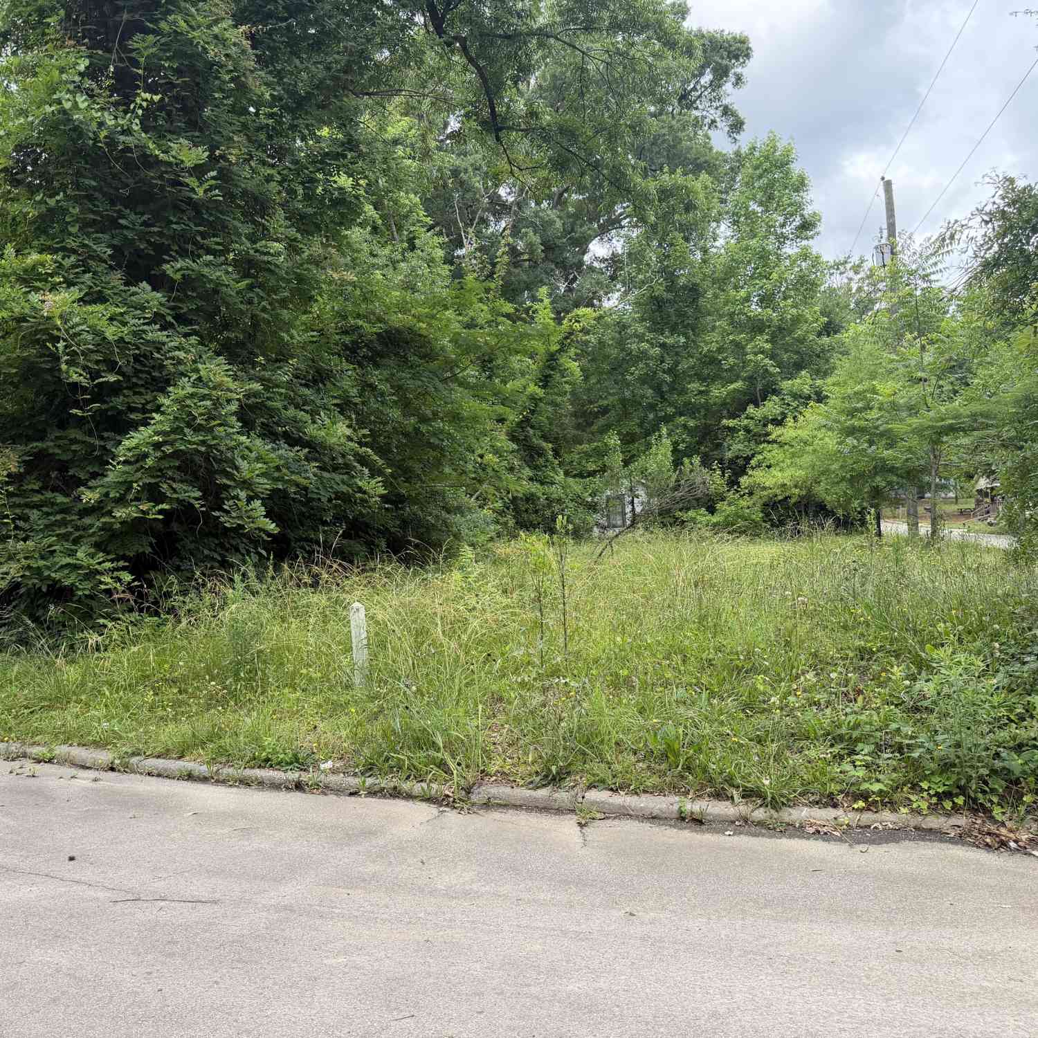 Vacant Land For Sale - 732 Turner Street<br/> Spalding County, Griffin, GA 30223