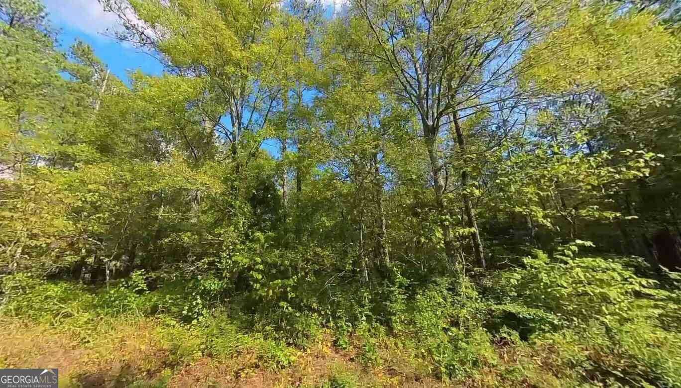 Vacant Land For Sale - 570 Sandtown Road SE<br/> Cartersville, GA 30121