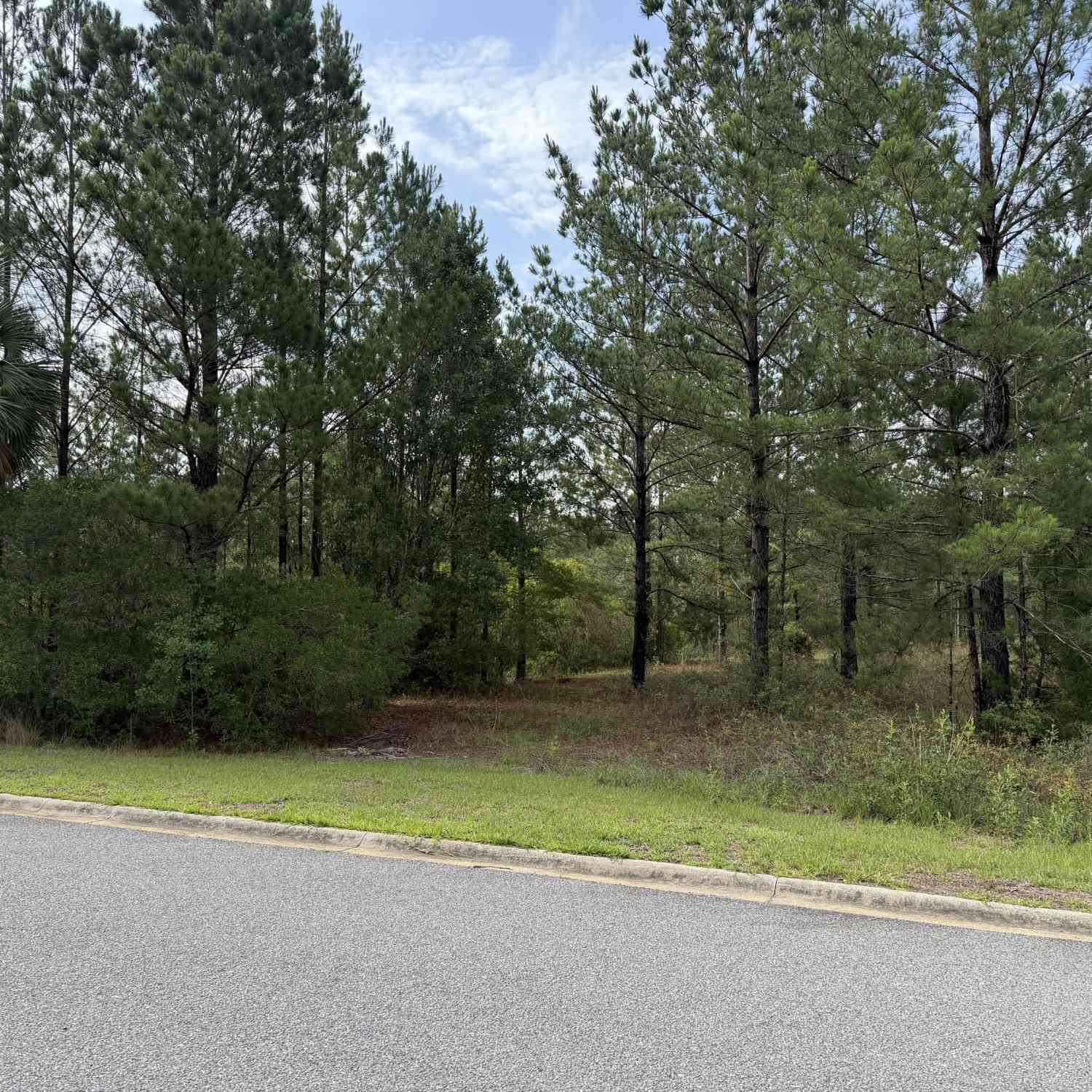Vacant Land For Sale - 1.12 Big Horse Drive<br/> Waynesville, GA 31566
