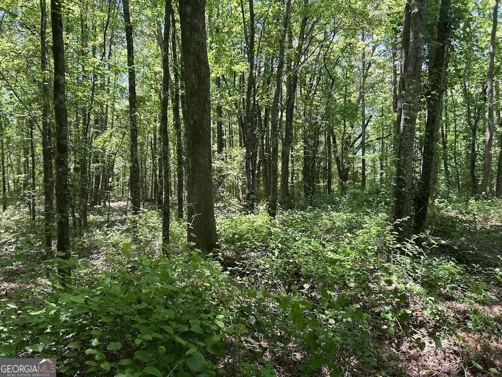 Vacant Land For Sale - Old Draketown Trail<br/> Temple, GA 30179