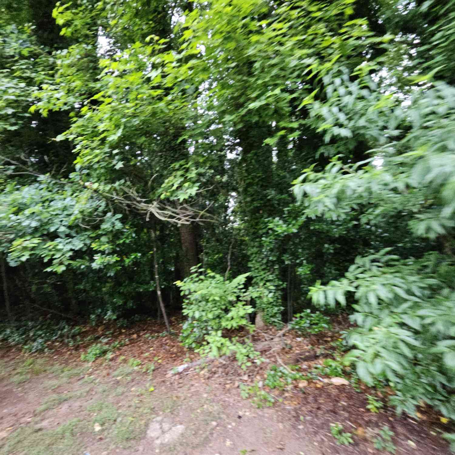 Vacant Land For Sale - 2409 Tarian Drive<br/> Dekalb County, Decatur, GA 30034