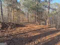 Vacant Land For Sale - 000  (948) Smyrna Church Road<br/> Molena, GA 30258
