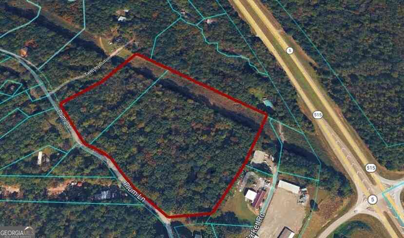 Vacant Land For Sale - 112 Plum Lane<br/> Jasper, GA 30143
