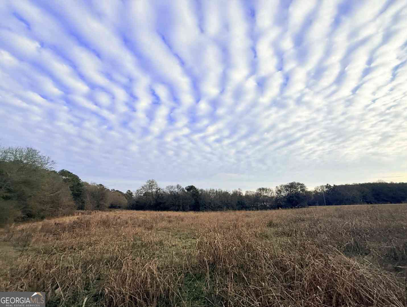 Vacant Land For Sale - 01B Bowman Highway<br/> Dewy Rose, GA 30634