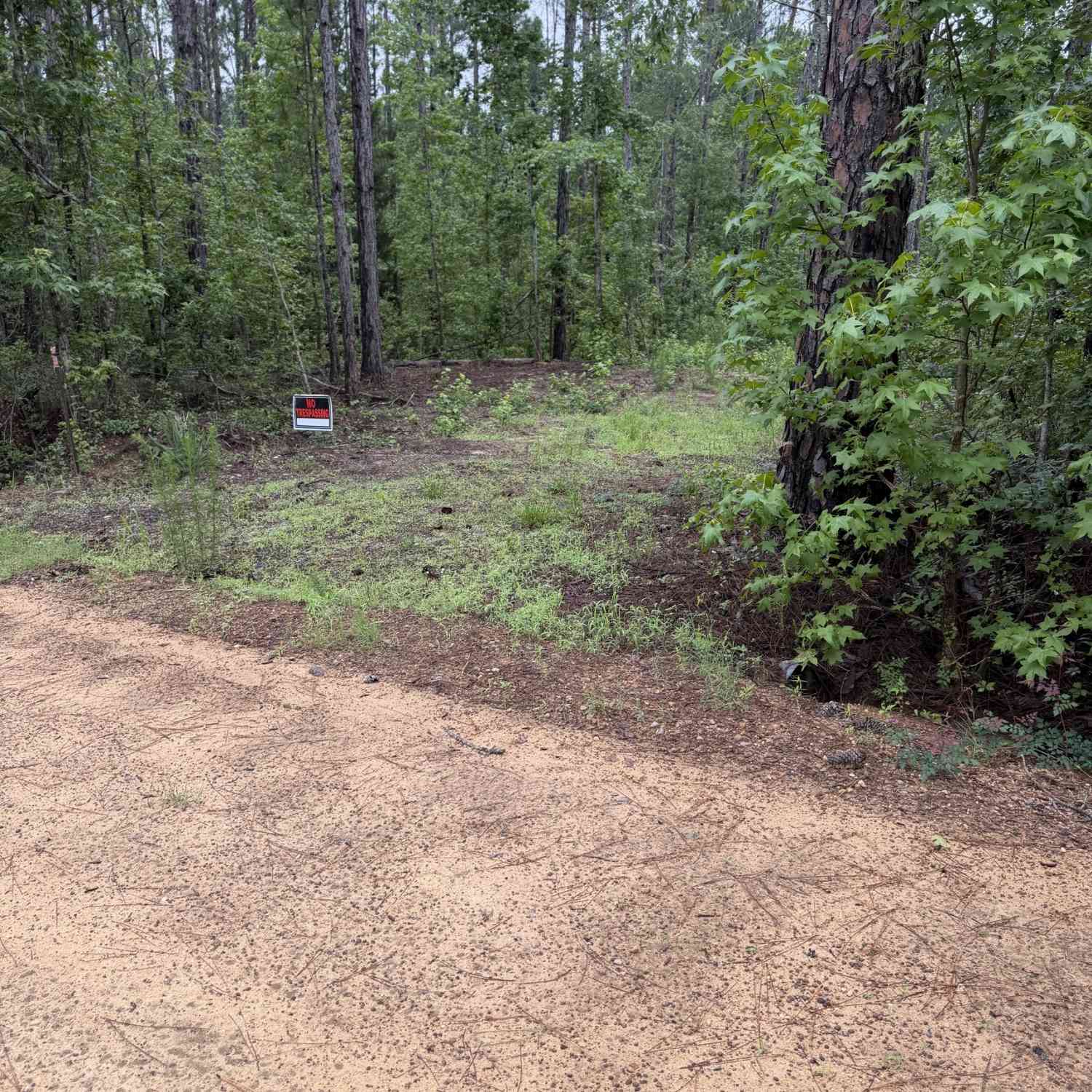 Vacant Land For Sale - Highway 46<br/> Cadwell, GA 31009