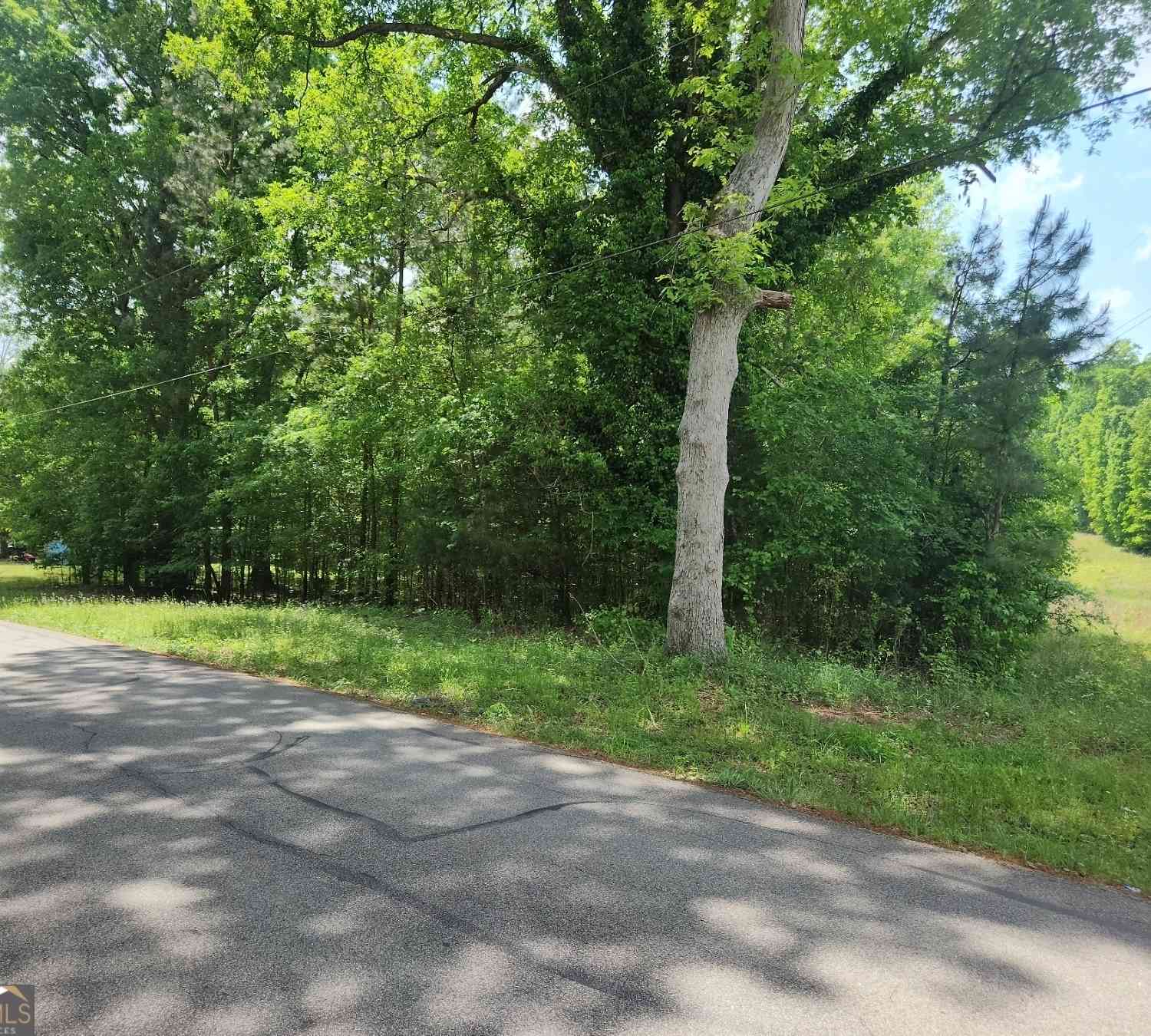 Vacant Land For Sale - 1241 Old Siloam Road<br/> Greene County, Union Point, GA 30669