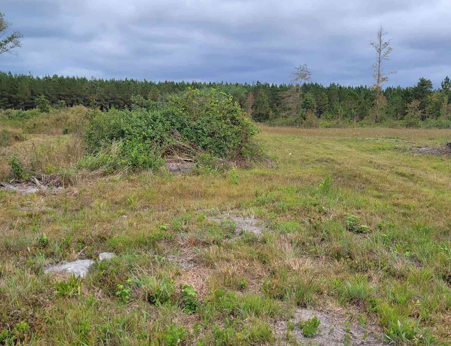 Vacant Land For Sale - 88 Rogers Break Road<br/> Jesup, GA 31546