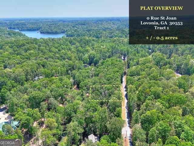 Vacant Land For Sale - Rue St Joan<br/> Lavonia, GA 30553