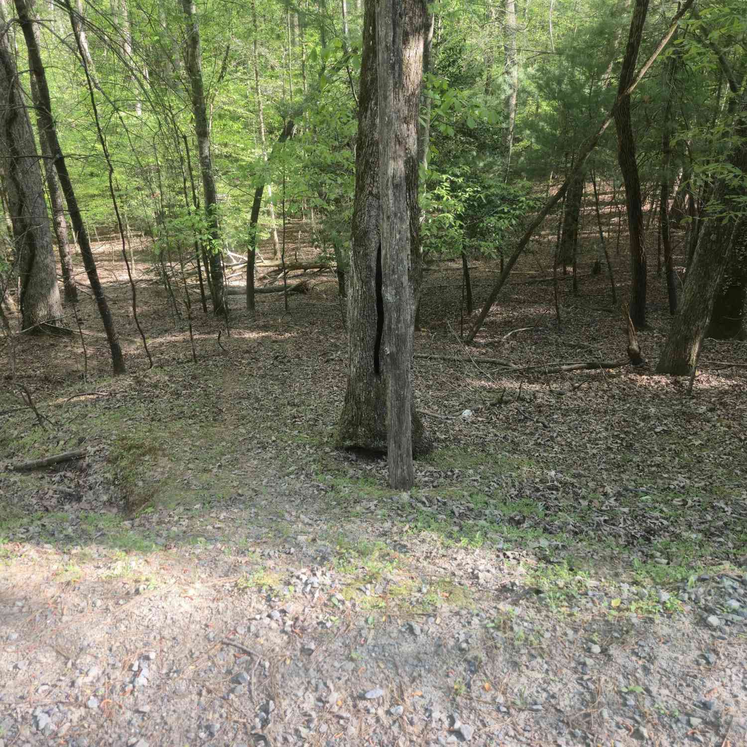 Vacant Land For Sale - Hart Court<br/> Gilmer County, Ellijay, GA 30540