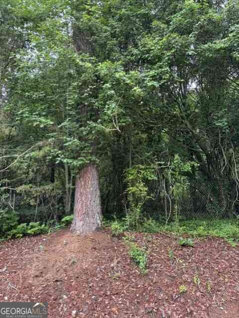 Vacant Land For Sale - Lewis Lot 17 Drive<br/> Lavonia, GA 30553