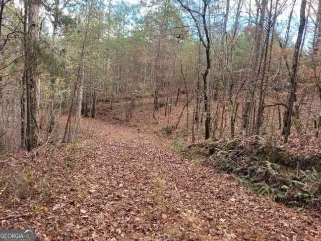Vacant Land For Sale - 18.22 Talona Road<br/> Gilmer County, Ellijay, GA 30540