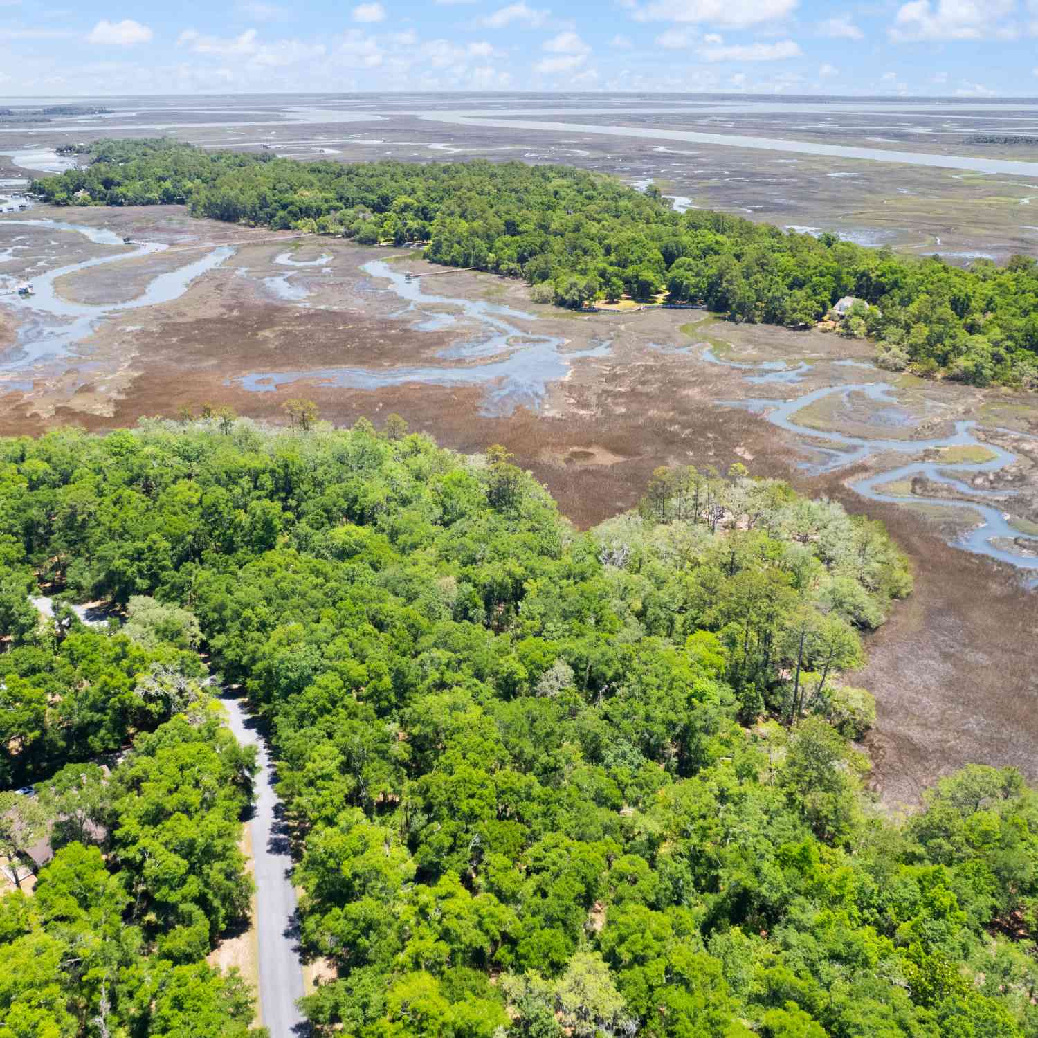 Vacant Land For Sale - LOT 54 St. Joseph's Point<br/> Darien, GA 31305