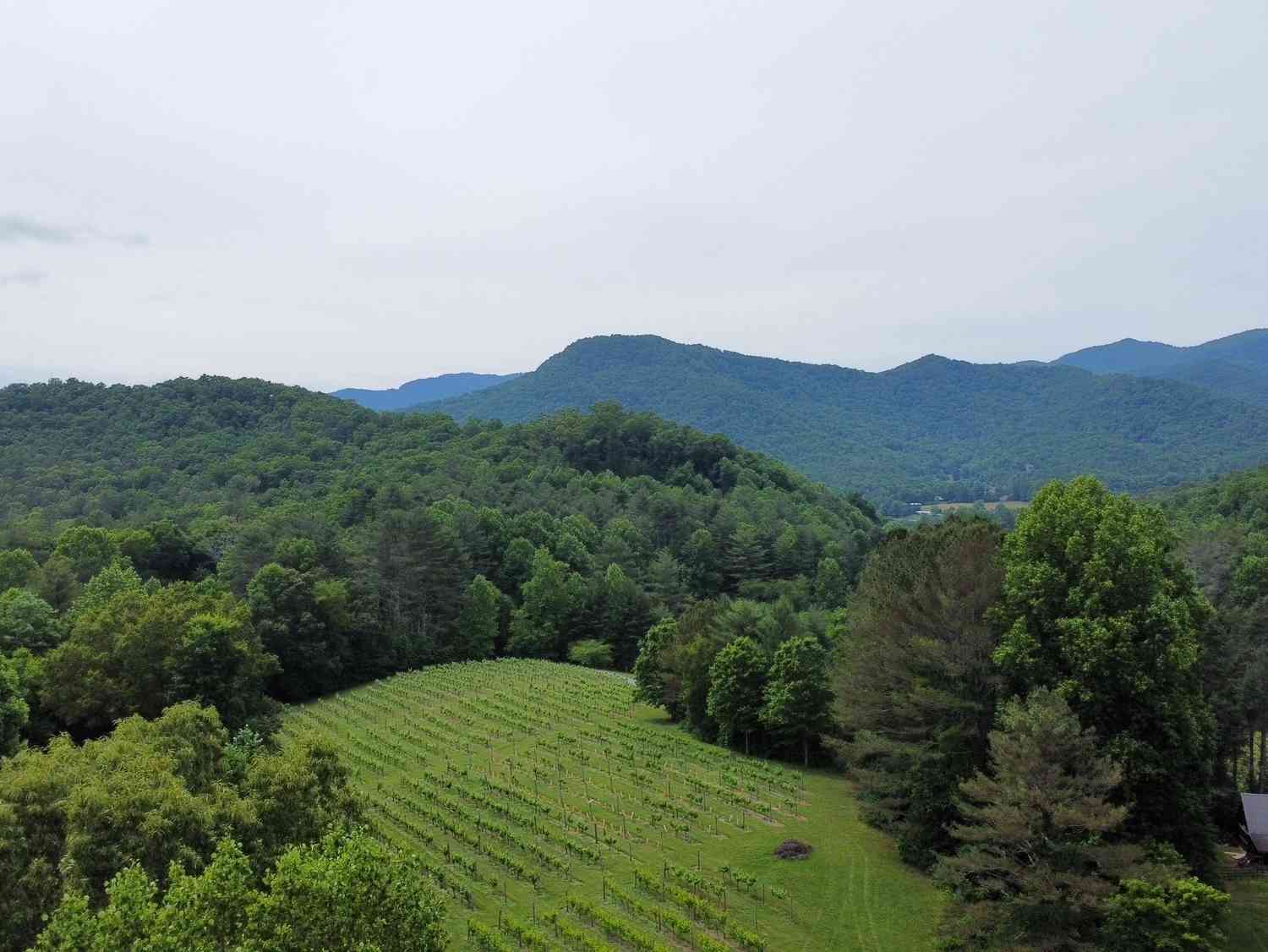 Vacant Land For Sale - Mr Bert Road<br/> Hiawassee, GA 30546