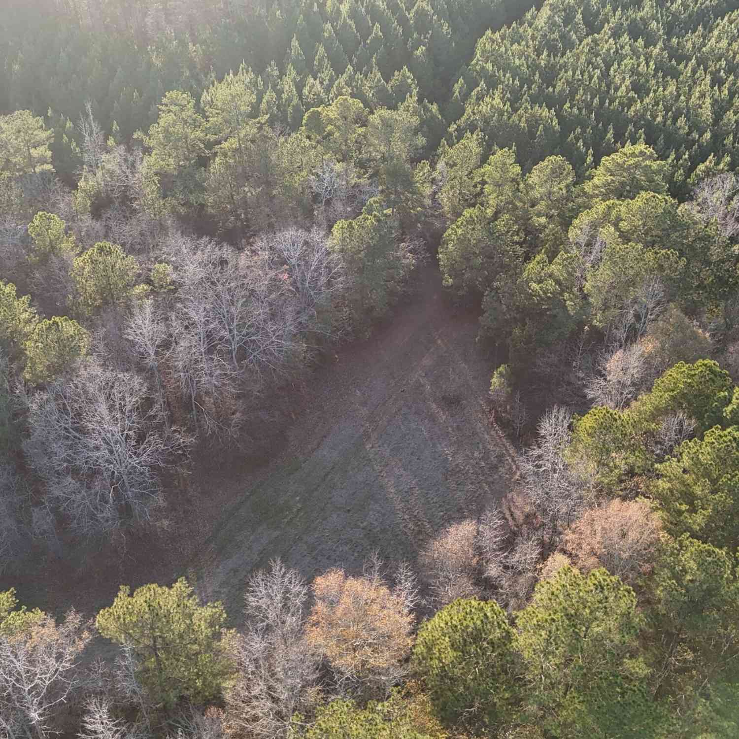 Vacant Land For Sale - Cunningham Road<br/> Greene County, Greensboro, GA 30642